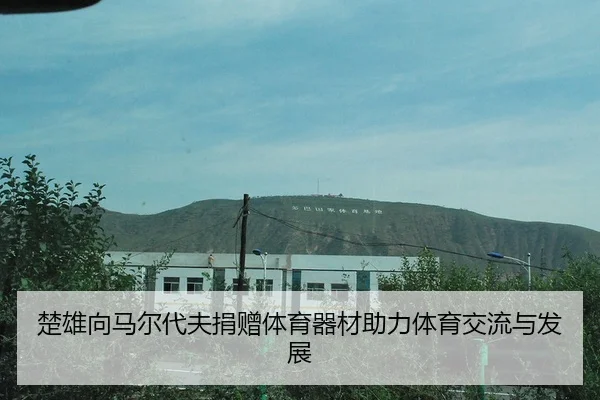 chu-xiong-xiang-ma-er-dai-fu-juan-zeng-ti-yu-qi-cai-zhu-li-ti-yu-jiao-liu-yu-fa-zhan-2-317.jpg