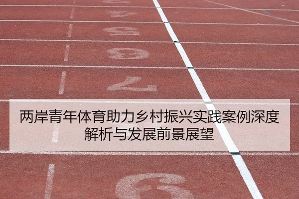 liang-an-qing-nian-ti-yu-zhu-li-xiang-cun-zhen-xing-shi-jian-an-li-shen-du-jie-xi-yu-fa-zhan-qian-jing-zhan-wang-2-379.jpg